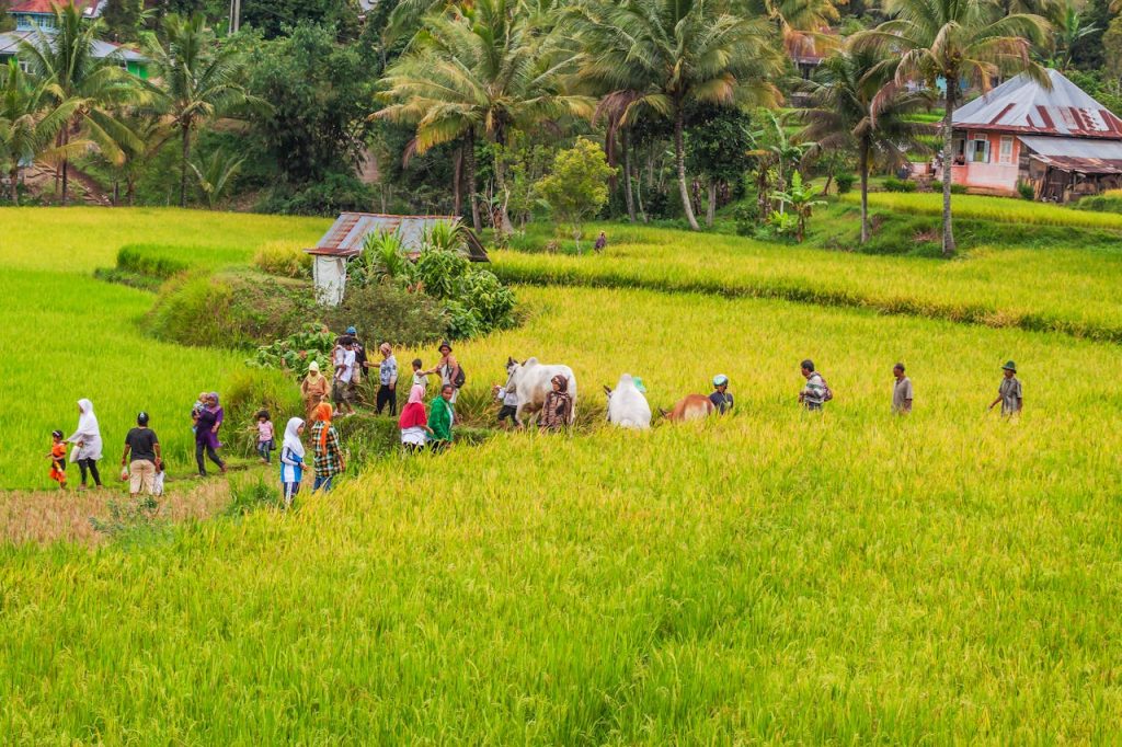 Alles wat je moet weten over bali belly op reis