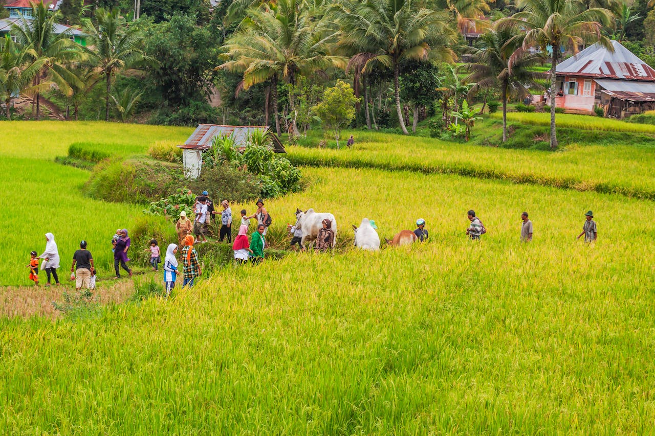 Alles wat je moet weten over bali belly op reis